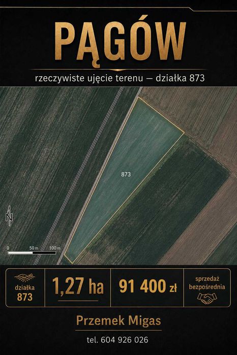 Pągów gm. Żytno - Działka rolna 1,27 ha – bezpośrednio - Widok 5