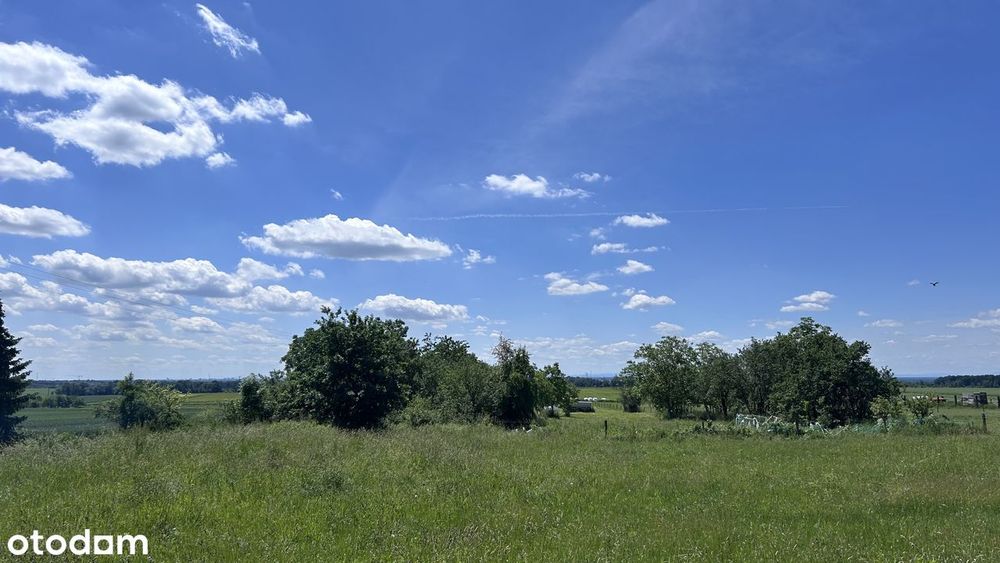 Działka budowlana 272/2, 1319 m², Piotrkowiczki, Trzebnica, S5 Wrocław - Widok 2