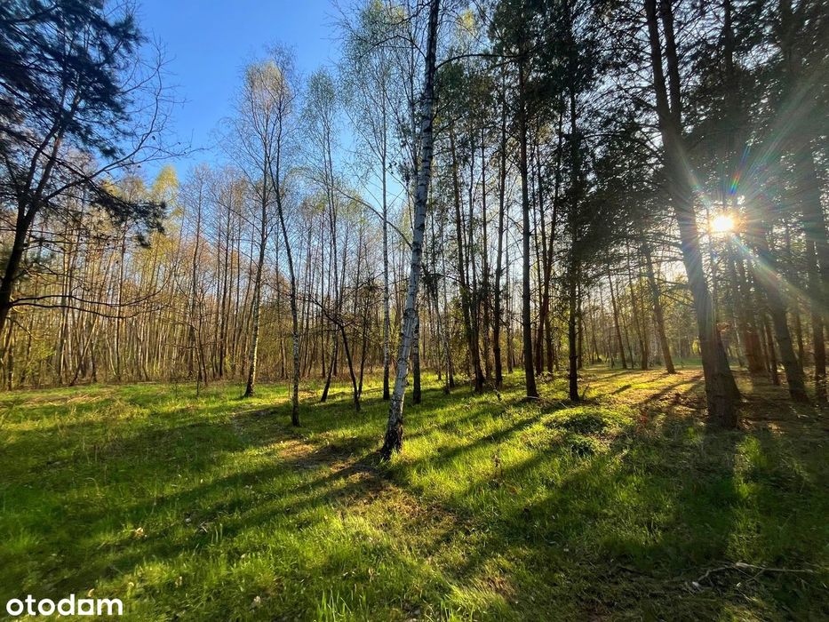 Duranów - działka budowlana pośród lasów