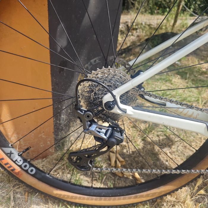FOCUS ATLAS 8.8 Carbono