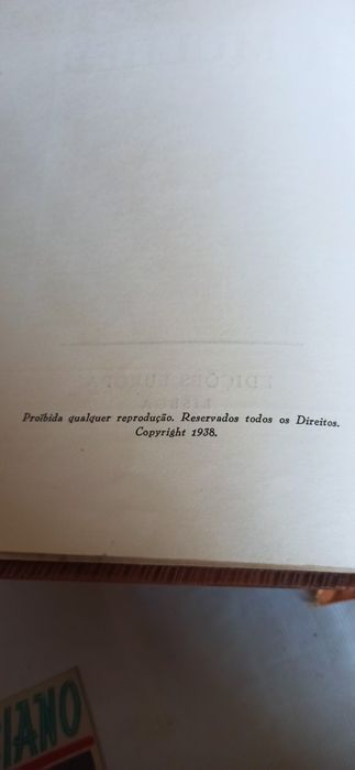 A Mulher por Sousa Costa