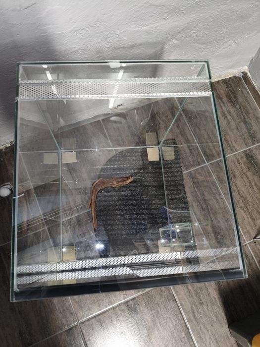 Sprzedam Terrarium