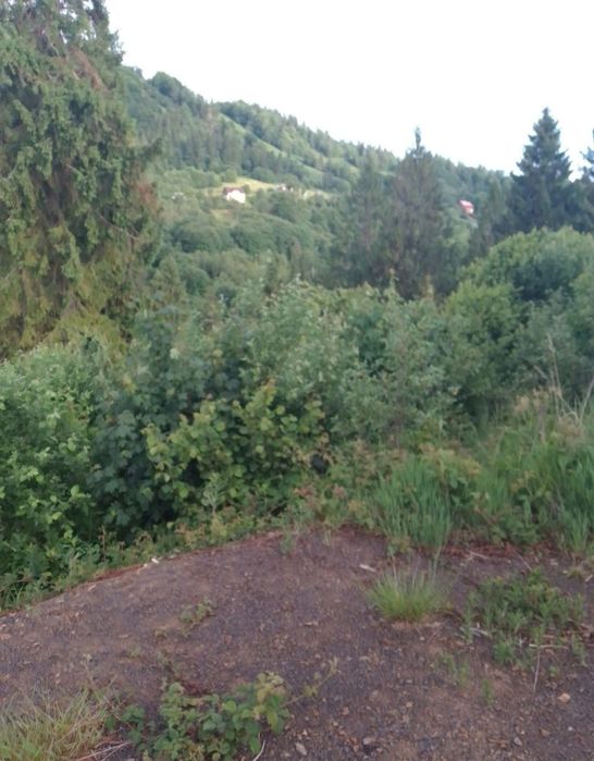 Продаж земельної ділянки подробиці за номером телефону можливий торг