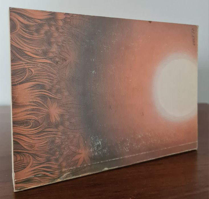 Tarzan w dżungli - Edgar Rice Burroughs