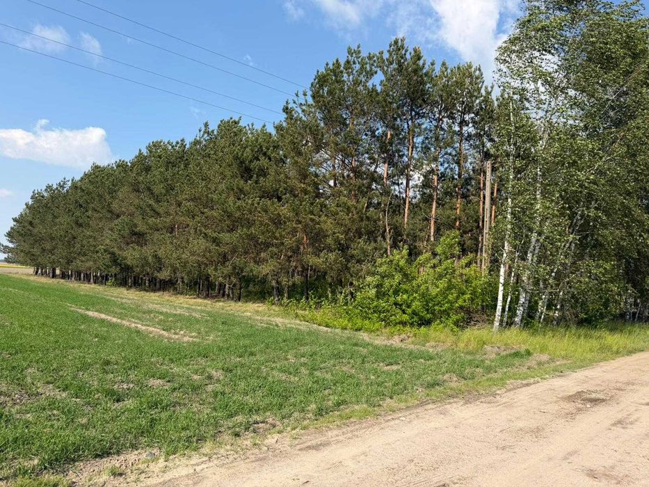 Sprzedam działkę pod zabudowę jednorodzinną - Widok 4