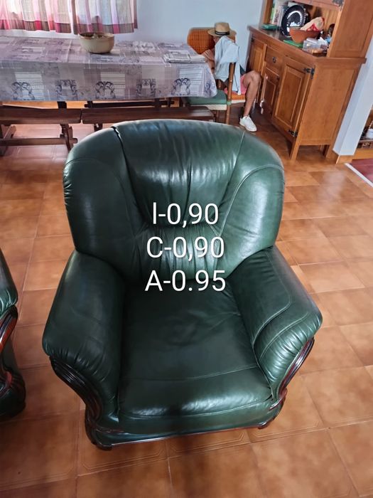 Sofá cama e 2 poltronas em pele