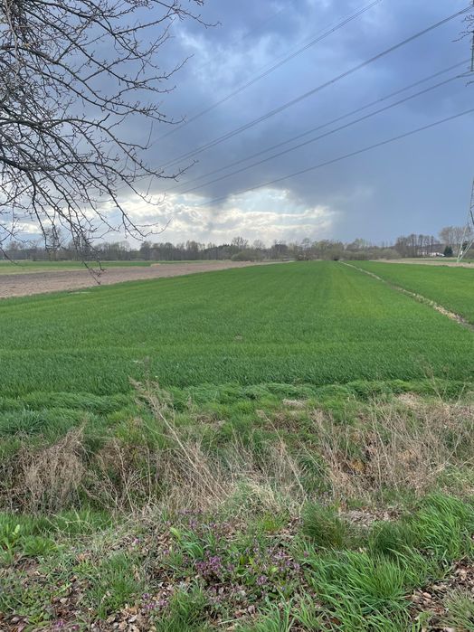 Działka rolno-budowlana