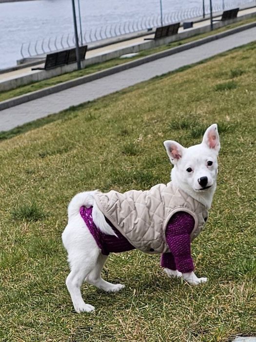 Маленькая девочка