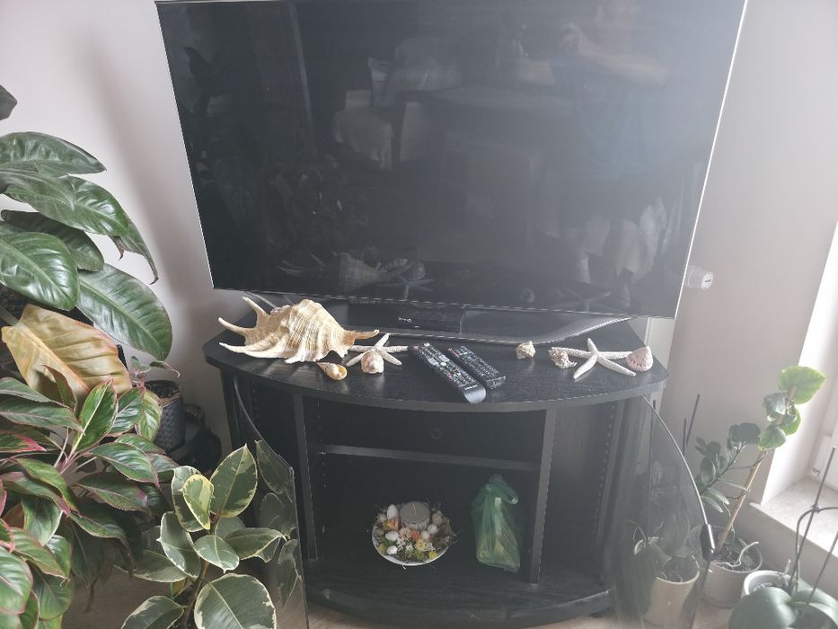 Telewizor Samsung