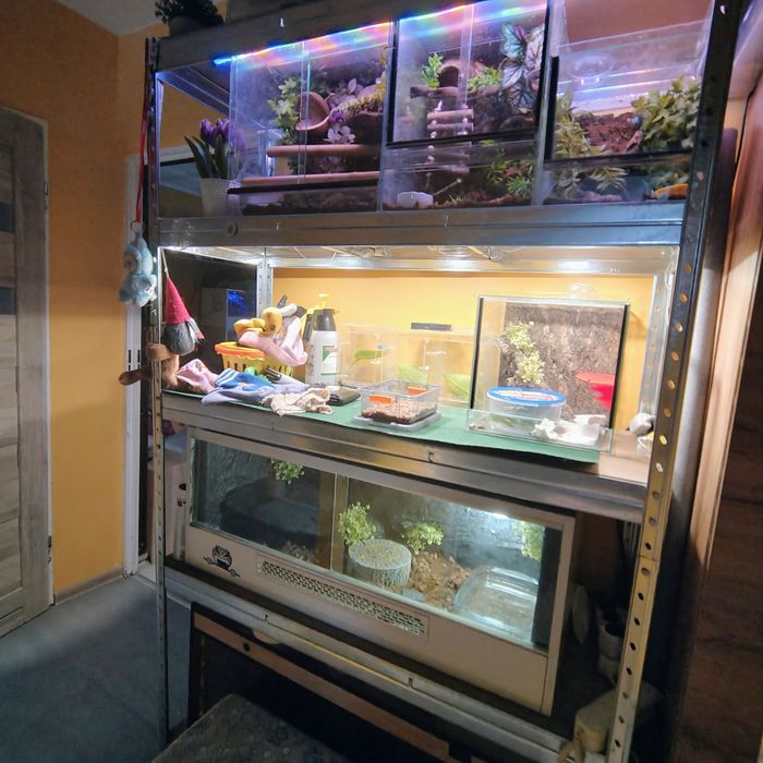 Terrarium z płyty meblowej