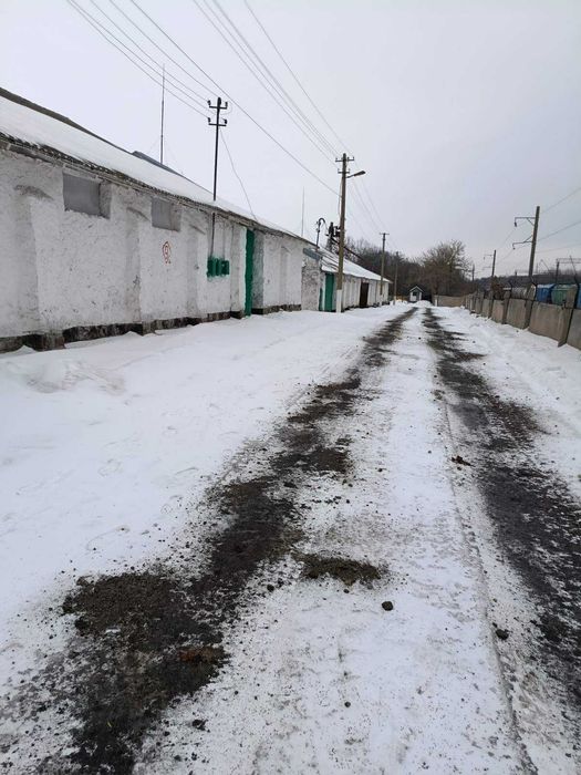 Продаж елеваторного комплексу ТОВ «ТАС АГРО ЦЕНТР» (с. Ольшаниця)