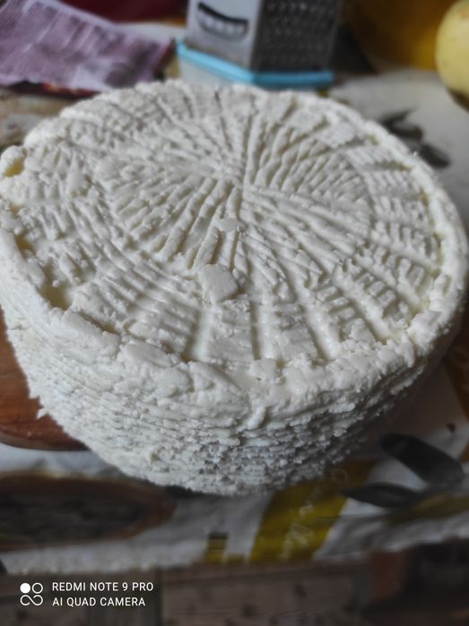 продам козине    молоко