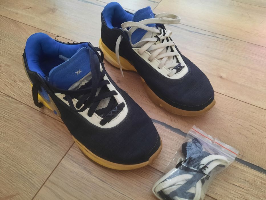 Nike Lebron FN0941, rozmiar 41