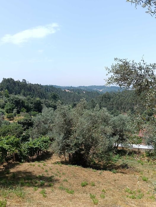 Terreno para construção - São Paulo de Frades