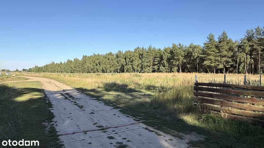 Atrakcyjna duża działka pod ząb.jednorodzinną-Pełczyce-Barlinek - Widok 5