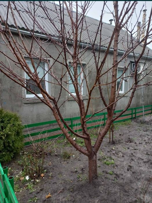 Продажа дома в Днепровском р-не