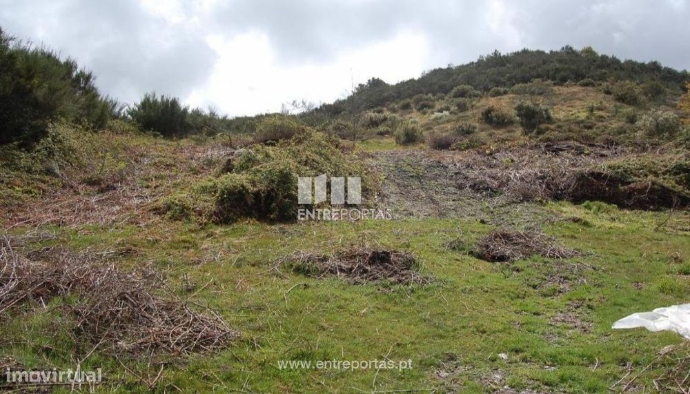 Venda Terreno, Carneiro, Amarante — Marco, Porto