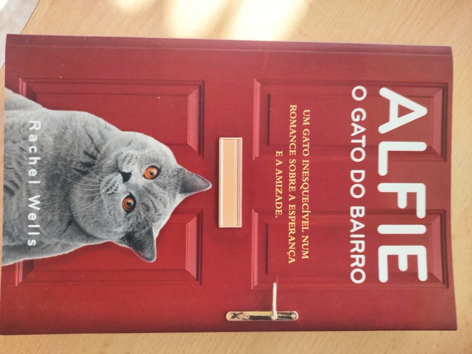 Alfie o gato do bairro