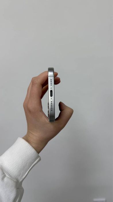 Iphone 15 Pro Max 256 gb 91%(silver  titanium)
