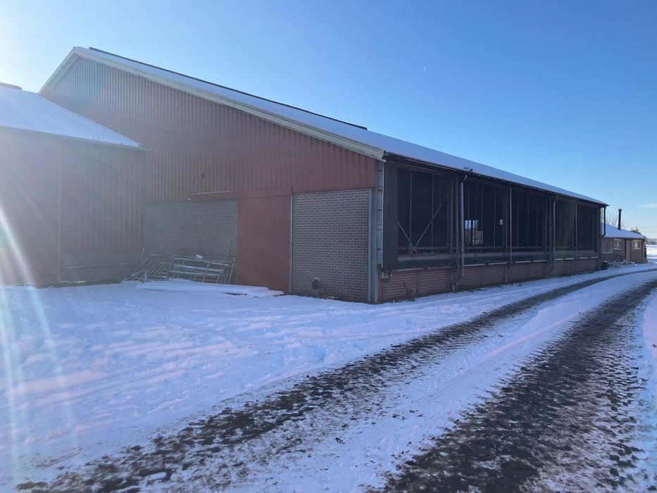 Obora budynek inwentarski 150szt ruszta konstrukcja stalowa  20x67