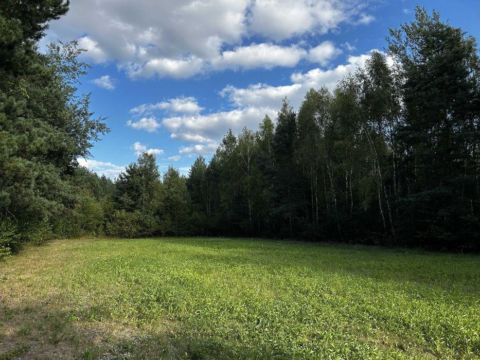 Malownicza działka 1,32 ha z WZ, idealna pod rekreację