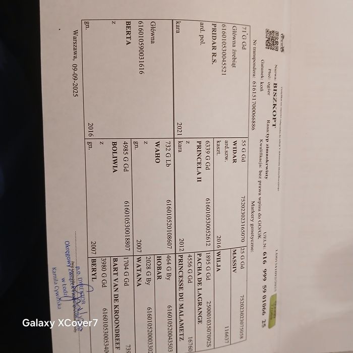 Sprzedam w komplecie klacz że źrebakiem