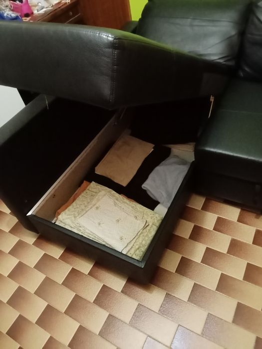 Sofá chaise longe pele