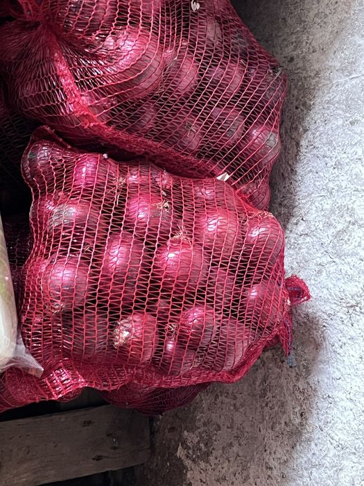 seler cebula marchew pekinka burak ziemniaki pory i inne