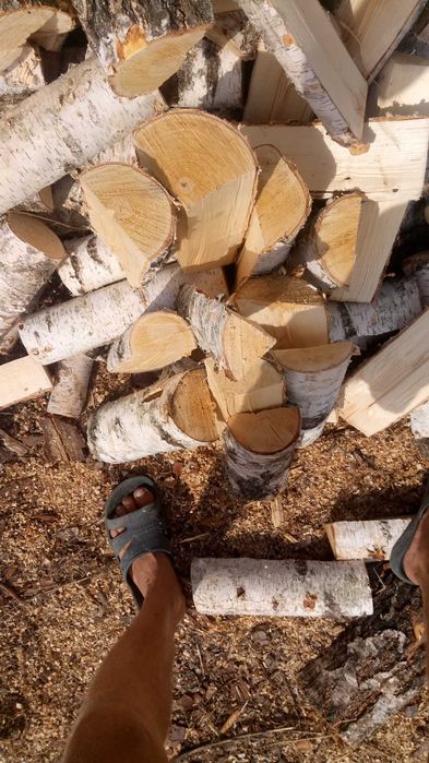 Продам опилки.дрова:метровые колотые дуб,граб,береза,ольха,сосна