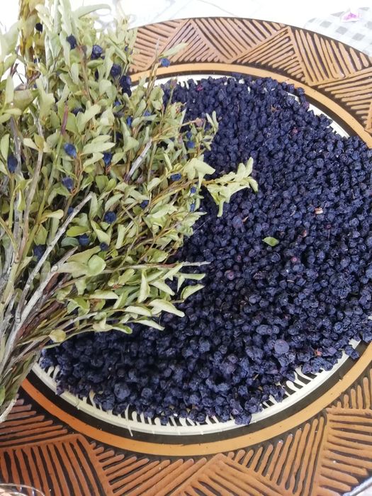 Чорниця сушена, карпатська (сушеная черника с Карпат),100 грам/240 грн