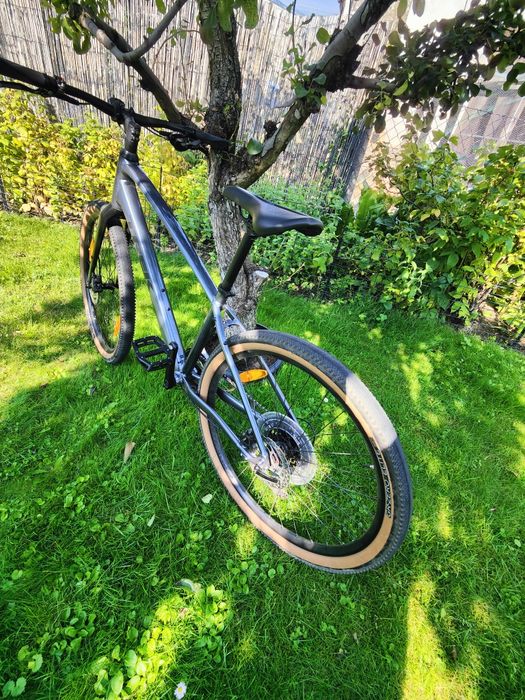 Trek Dual Sport 3 Gen 5