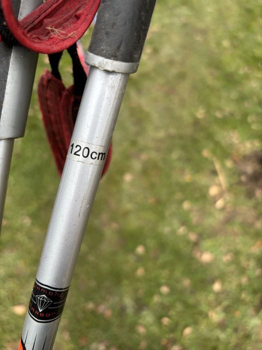 komplet narty biegowe, buty salomon 38, kijki 120cm