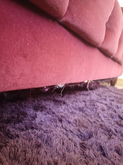 Conjunto Sofá e Carpete