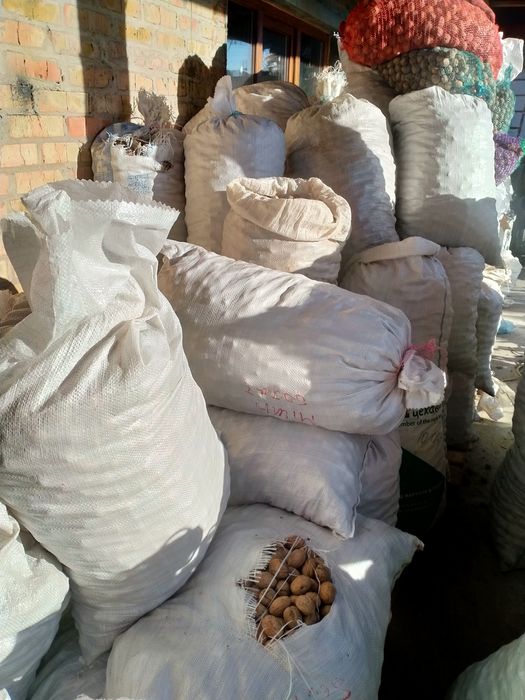 горіхи волоські бойний