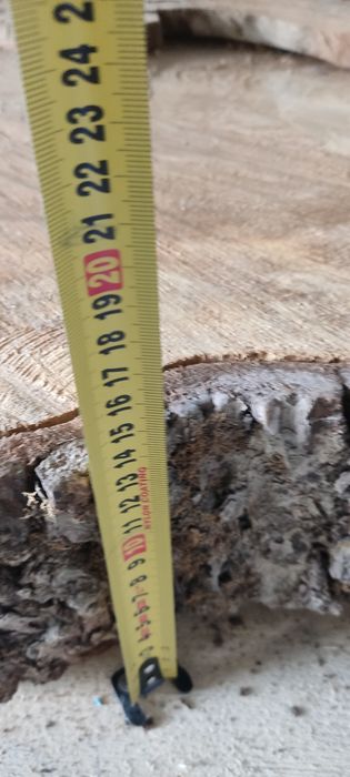 Слеб, срезиз ореха большой