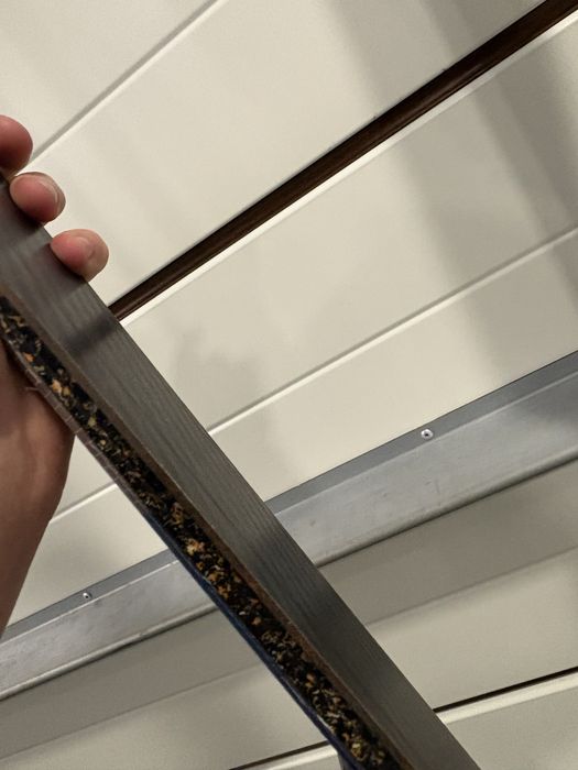 Narty Salomon Addikt 149 cm (Model 2024/2025) – Stan BARDZO DOBRY!