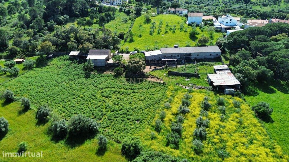 Terreno Rústico com viabilidade de construção