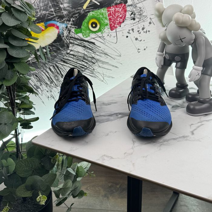 Кросівки Nike Zoom Pegasus 38 39 розмір E611