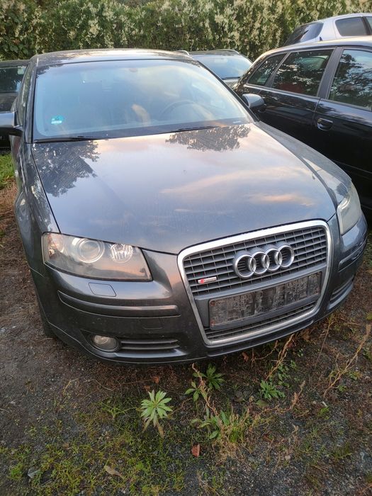 Audi A3 8P 3D krótka podsufitka podsufitówka sufit wnętrze tapicerka