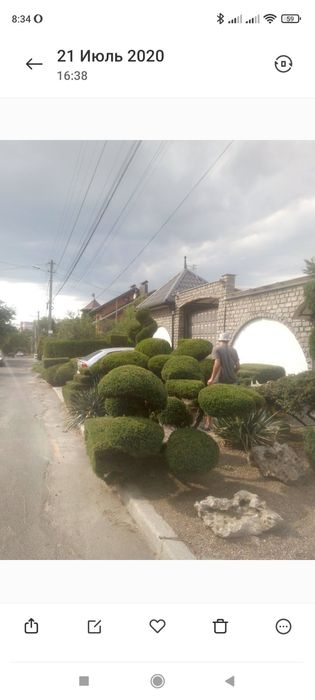 Садівник.Озеленення.Ландшафтний дизайн