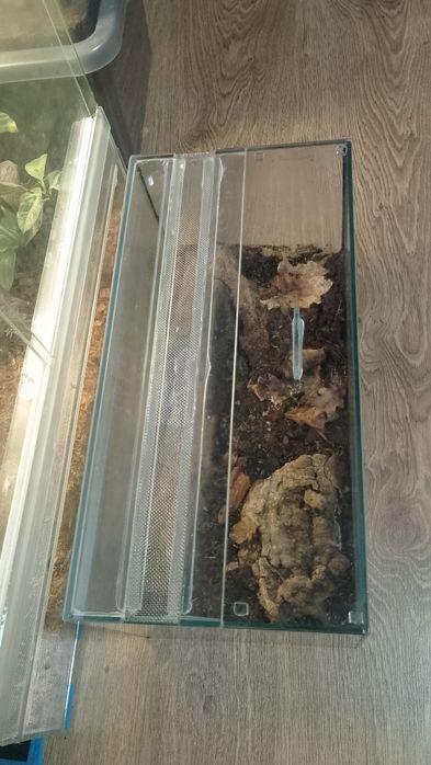 Терраріум 40х20х20