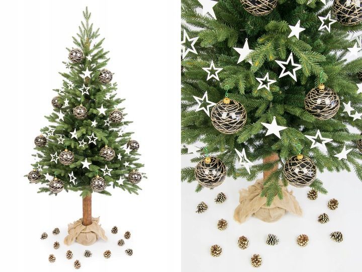 piękna choinka świerk kaukaski premium pe na pniu 180 cm