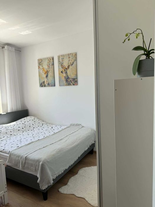 Mieszkanie do wynajęcia 40m2