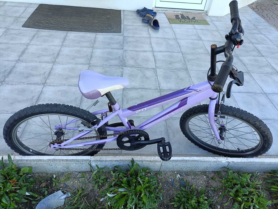 Bicicletas diversas