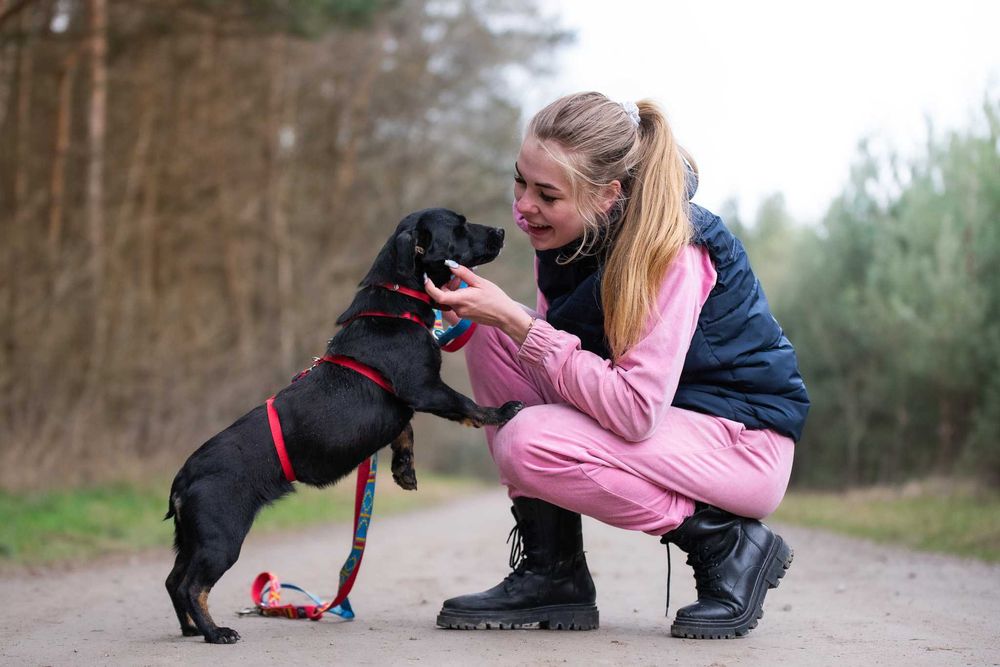 Nitka - maleńka czarnulka - suczka do adopcji