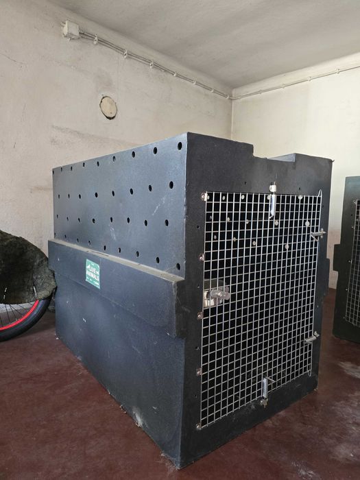 Caixas de transporte de cães para avião.