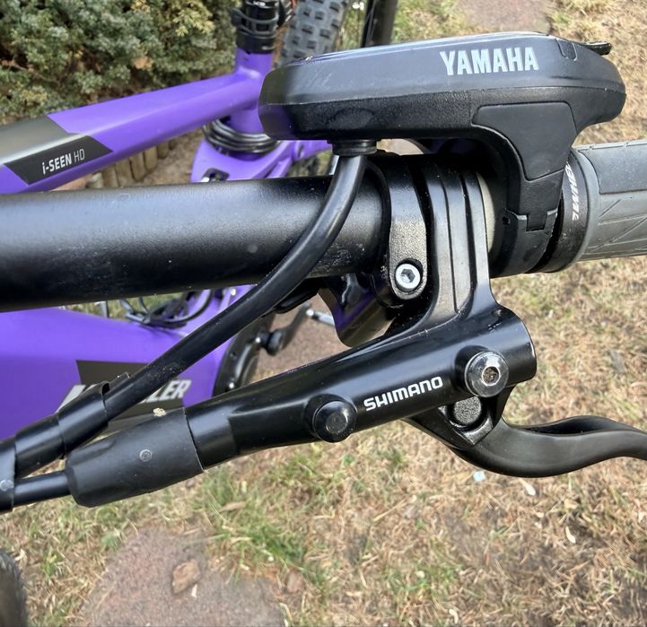 Szwajcarski Rower elektryczn  e-MTB
