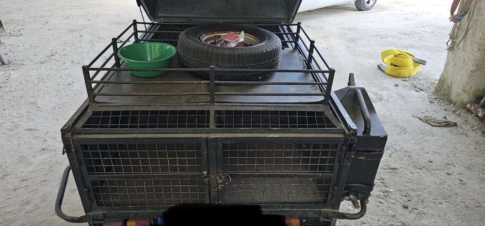 Atrelado transporte cães