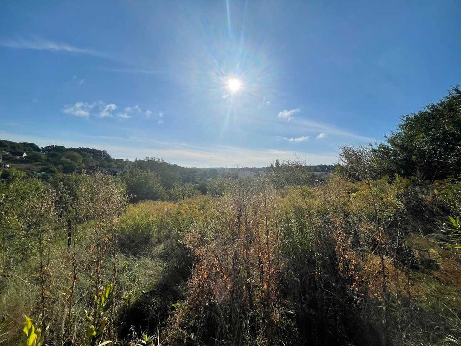 Продажа участка земли в СТ Припять (Васильковский район )