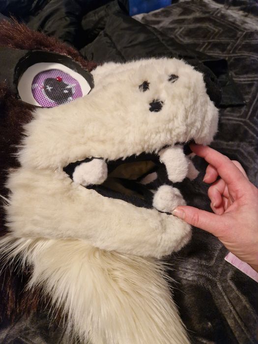 Fursuit głowa ogon łapy obrazek